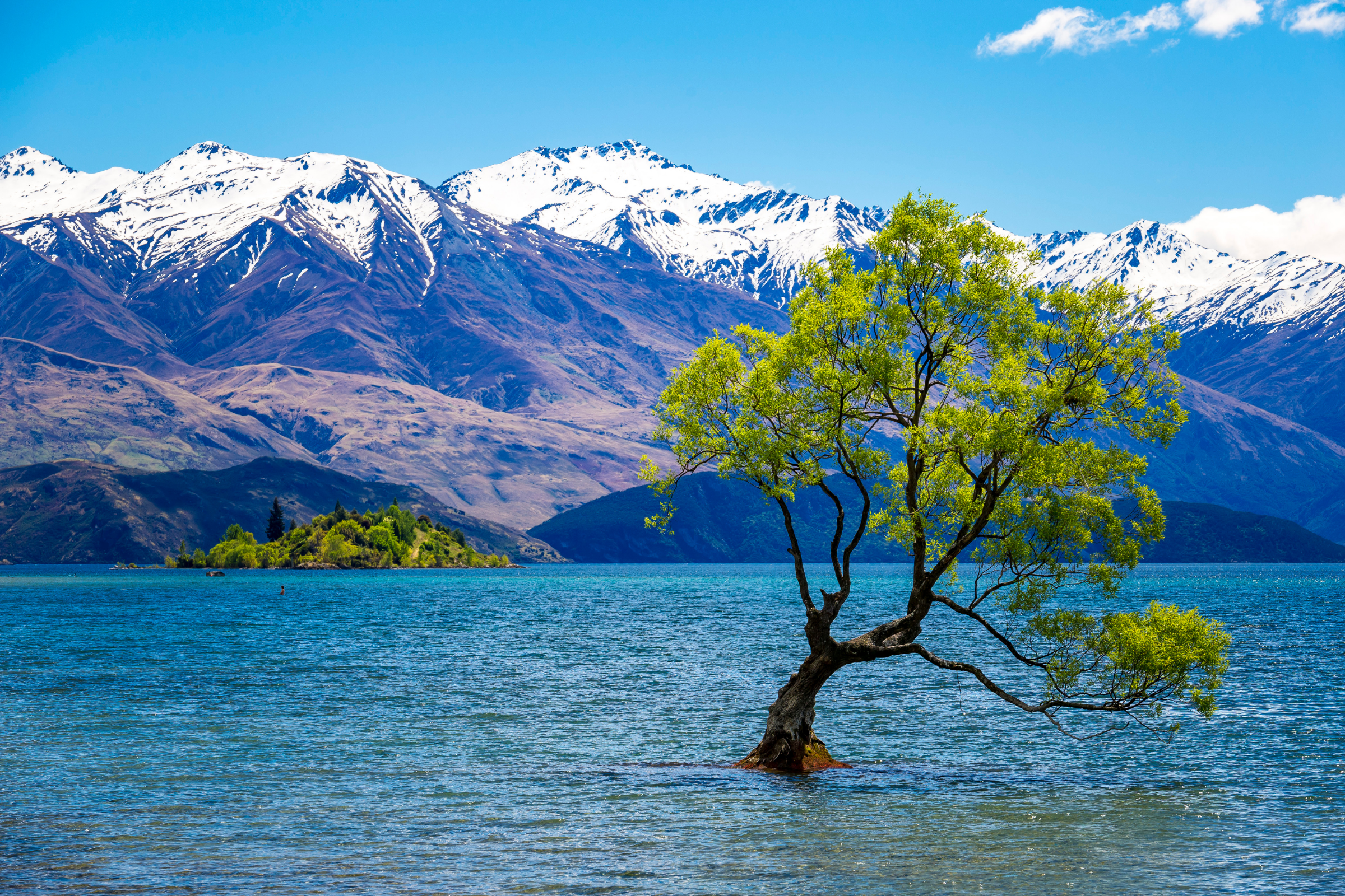 wanaka (2).webp